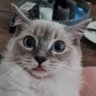 Pontus's profile picture