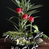 Фото профиля علي الزيدي