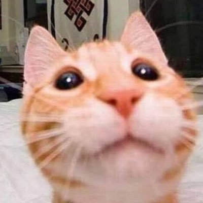 PPNam92's profile picture