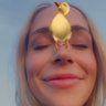 youfoundmolly✨🦋's profile picture