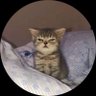 ㅊ ชวนป๋วยปี่แป่กอ wake up ㅡ 的头像