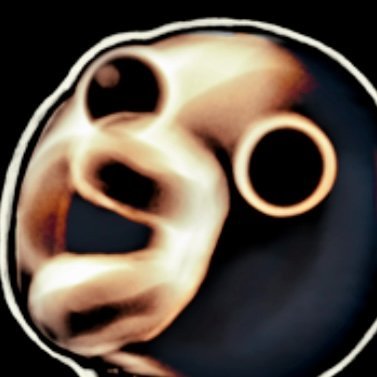 Wrong Organ's profile picture