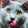 j profil fotoğrafı