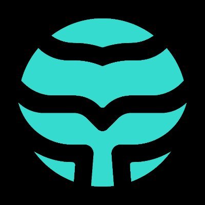 fin_wallet's profile picture
