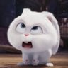 ◠◦ ॱ◡̈⃝ ˓ @จุมเมะ ˒ ⎯̲˚🌸𓏤's profile picture