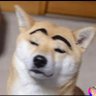 Li profil fotoğrafı