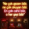 Bir Garip Yusuf's profile picture