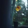 Фото профиля ابوراشد