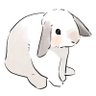 まふぃん君૮ ˙ ˟ ˙ ა profil fotoğrafı