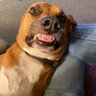 Profilbild von Bender