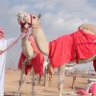 Фото профиля عسجد 🇦🇪