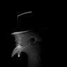 SpyPigeon 的头像