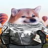 Sherry's profile picture