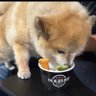 ita's profile picture