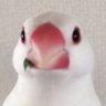 千万太 的头像