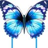 butterfly profil fotoÄrafı