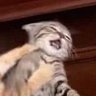 Profilbild von อีร้าบาน อีคว้้้้้้้้้้้้้าย