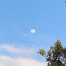 Фото профиля 昼月🌕