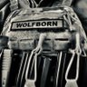 Wolfborn 的头像