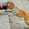 Oluwaphemmy💦 profil fotoğrafı