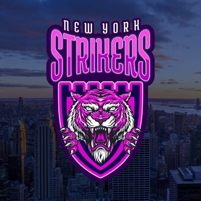 NewYorkStrikers's profile picture