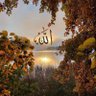 عمر العزي profil fotoğrafı