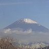 とまと長老 的头像
