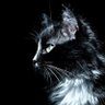 ゴッド's profile picture