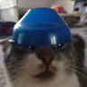 Profilbild von PolishFreak