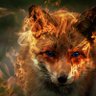 Profilbild von Piligrim_Fox