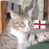 Dave the Cat 🏴⚽️ 的头像