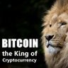 Profilbild von CryptoLion3 Cryptocurrency