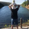 M.A's profile picture