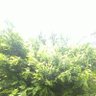 Фото профиля Birdsong
