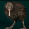 A Little Brown Kiwi 的头像