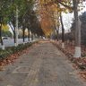 jianhao profil fotoğrafı