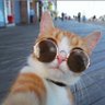 D profil fotoğrafı
