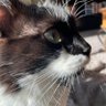 Profilbild von Maw Lil