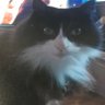 marge's profile picture