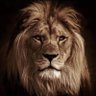 Aitzaz Ahmad's profile picture