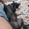 Jeová's profile picture