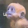 Profilbild von BigL-22