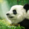 🐼 profil fotoğrafı