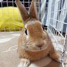 やまさん profil fotoğrafı