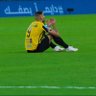najlafadel 的头像