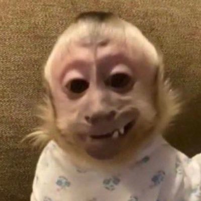 songsforyyou's profile picture