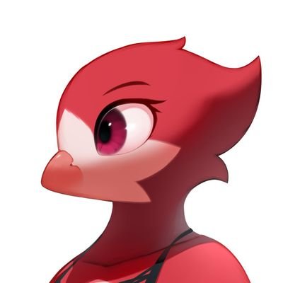 chickhawk96's profile picture