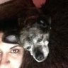 Mebe's profile picture