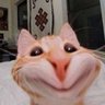 จี๊ดจ๊าดนะครับ's profile picture