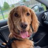 Profilbild von jj